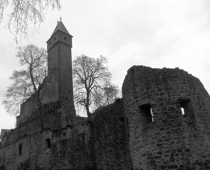 Ruins_of_Hirschhorn2.jpg