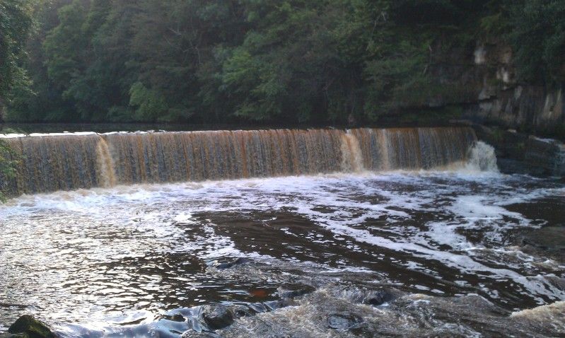 IMAG0452.jpg