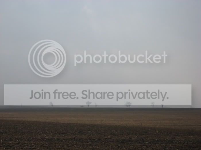 landscapes1.jpg