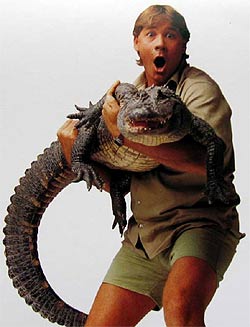2006_09_steveirwin.jpg
