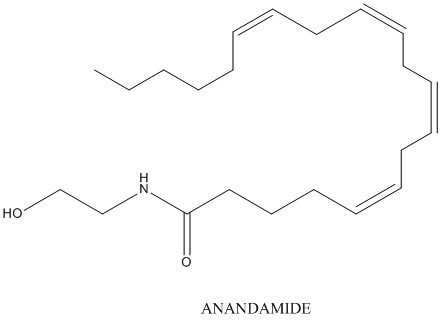 Anandamide.jpg