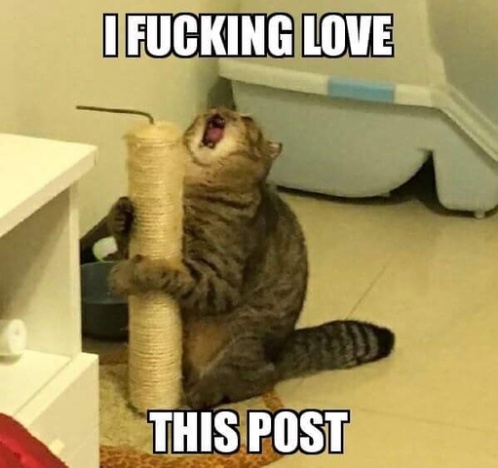 yujOLw9.jpeg