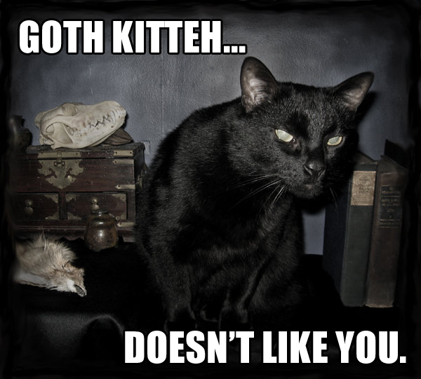 LOL+CAT+2.jpg