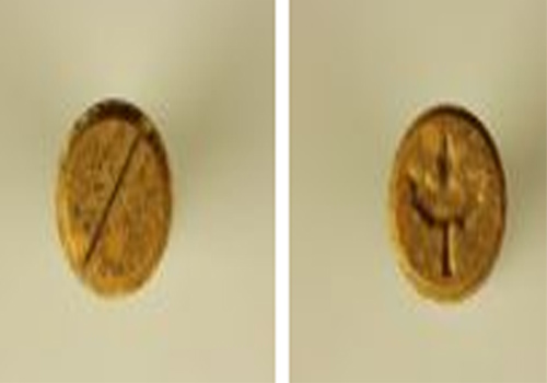 maple_flag_mdma_ecstasy_pill.jpg