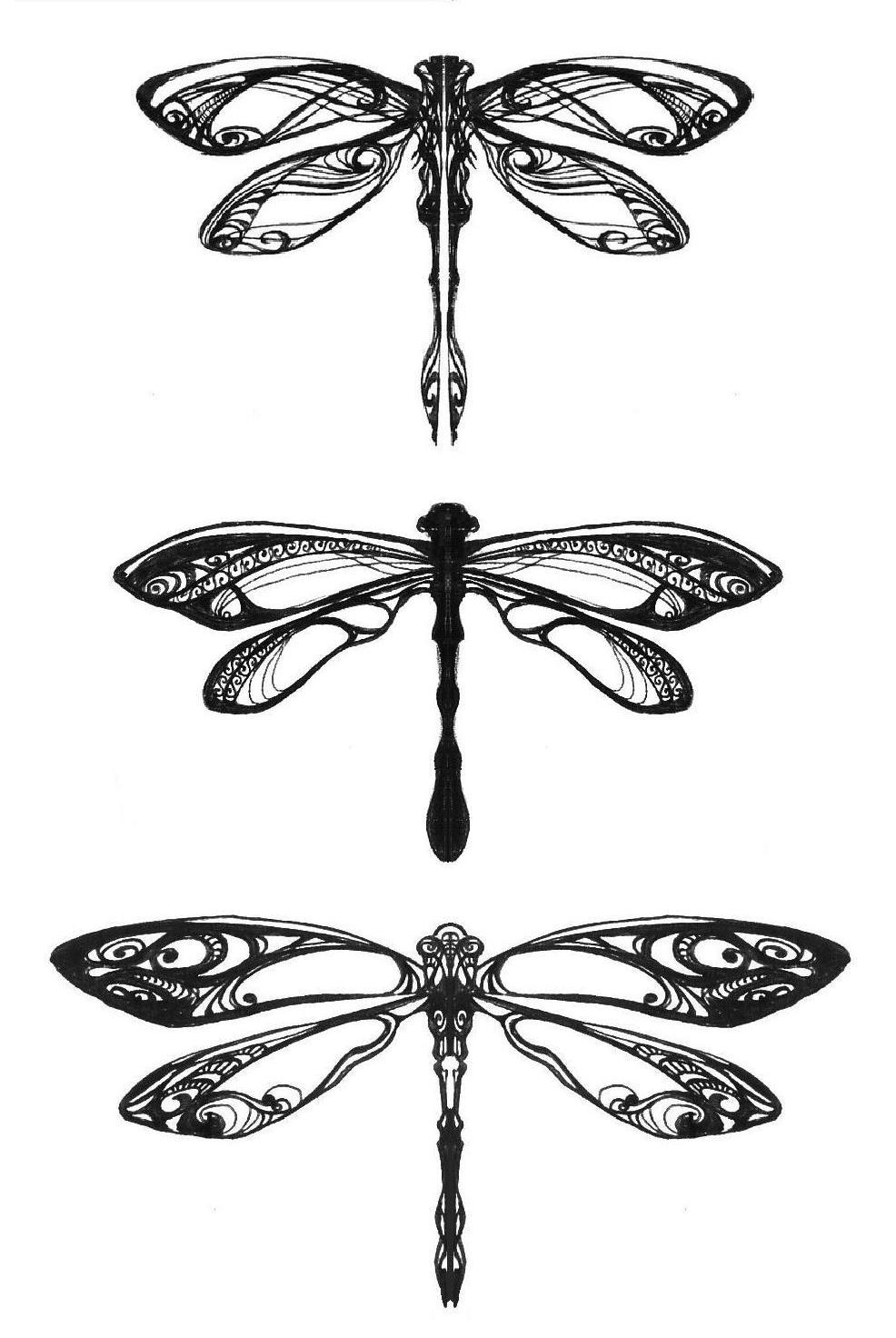 Dragonflies_by_Pangea_Derlatek.jpg