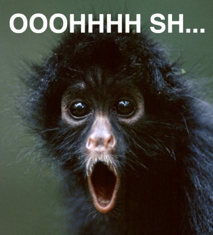 spider_monkey.jpg