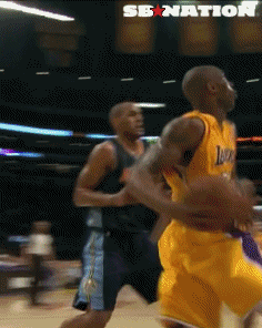 javalelol.gif