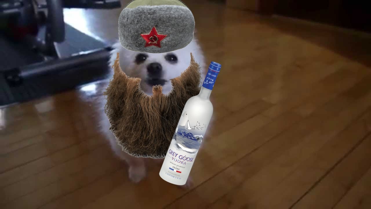 maxresdefault.jpg