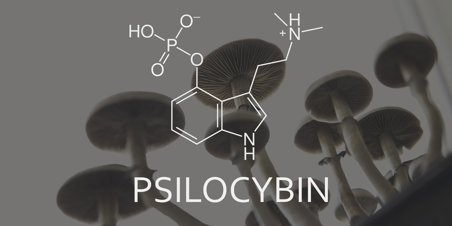 www.psypost.org