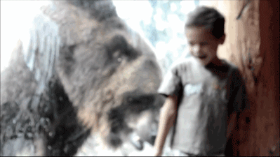 tumblr_moi2f395EU1r3gb3zo2_400.gif