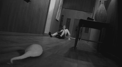 tumblr_mw29nh0Xpx1snhqsko1_500.gif