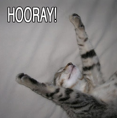 lolcat73.jpg