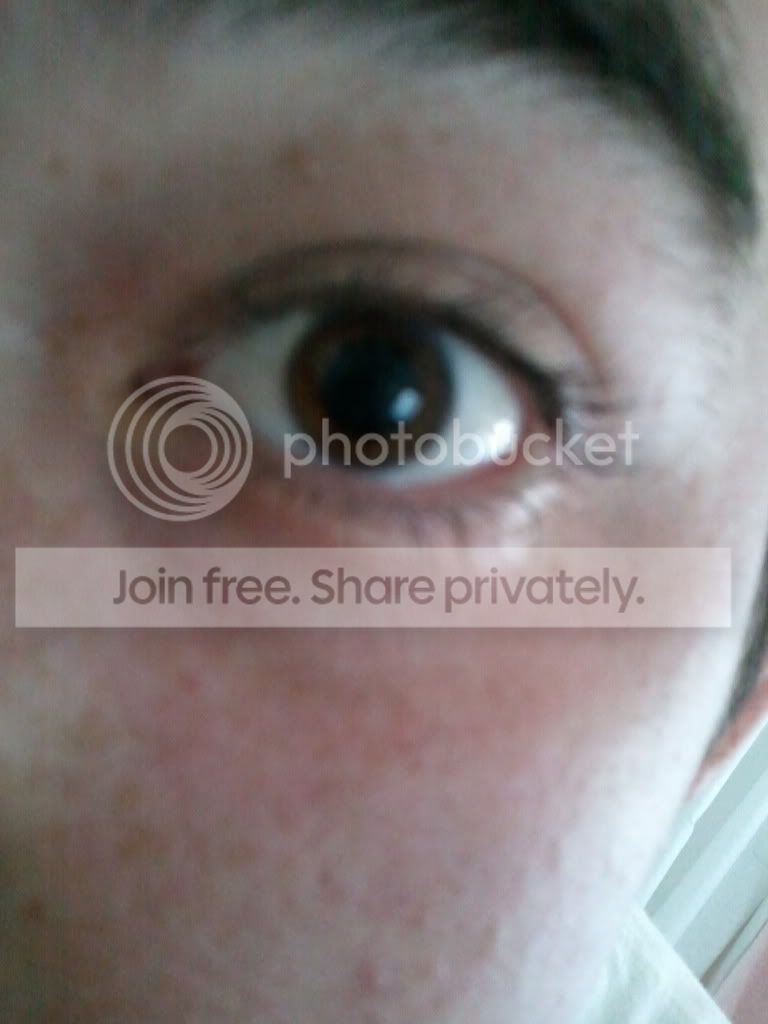 2011-01-28141243.jpg