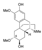 Oreobeiline.png