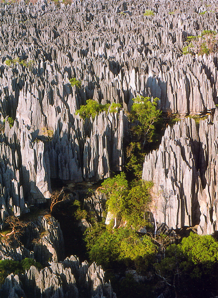 Tsingy_de_Bemaraha.jpg
