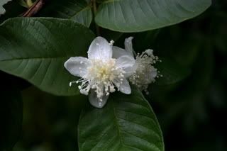 _MG_7709.jpg