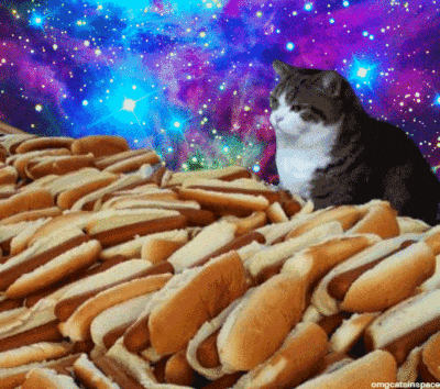 giphy.gif