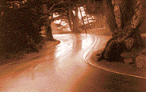 61825f594b.gif