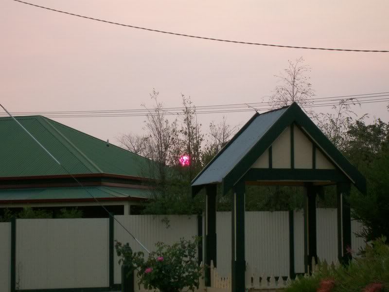 100_3978.jpg