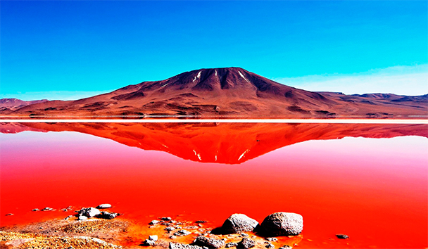 laguna-colorada1.jpg