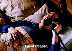 tumblr_mybye54CSE1sunajqo1_r1_250.gif