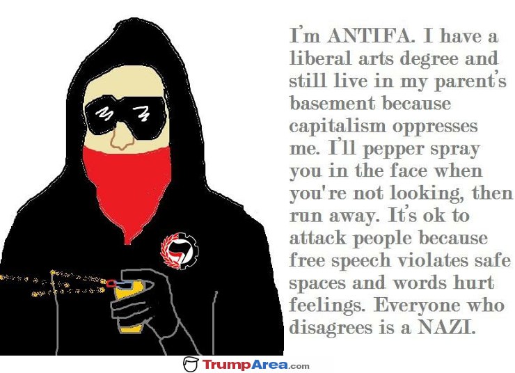 antifa-in-a-nutshell.jpg