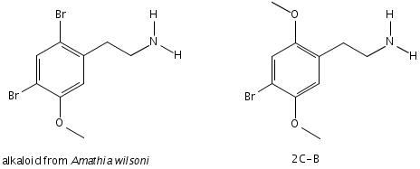 625257650-amathia_2cb.png