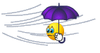 ce3ca86f98.gif