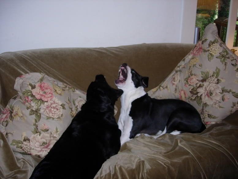 DSCN1239.jpg
