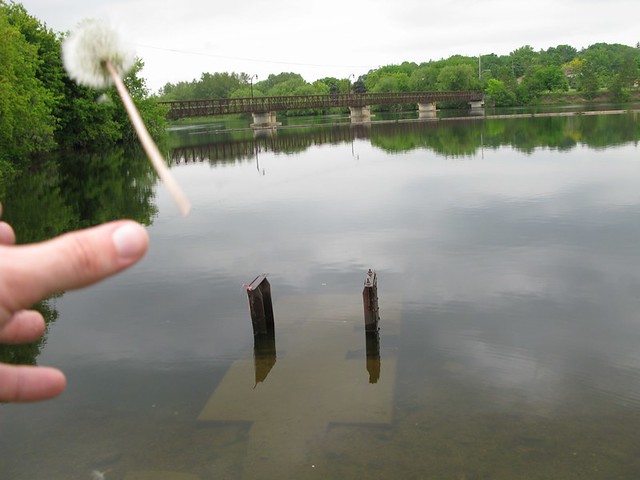 2555484807_970140df2a_z.jpg