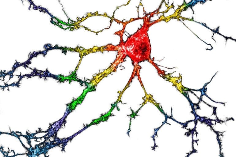 neurosciencenews.com