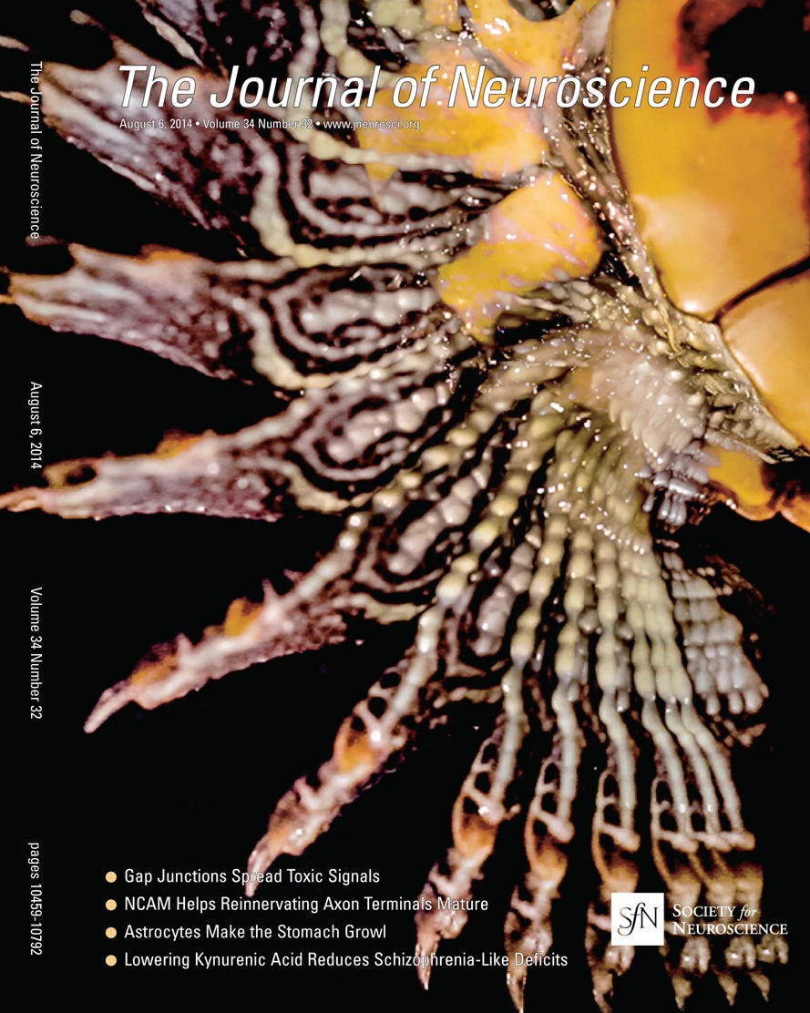 www.jneurosci.org