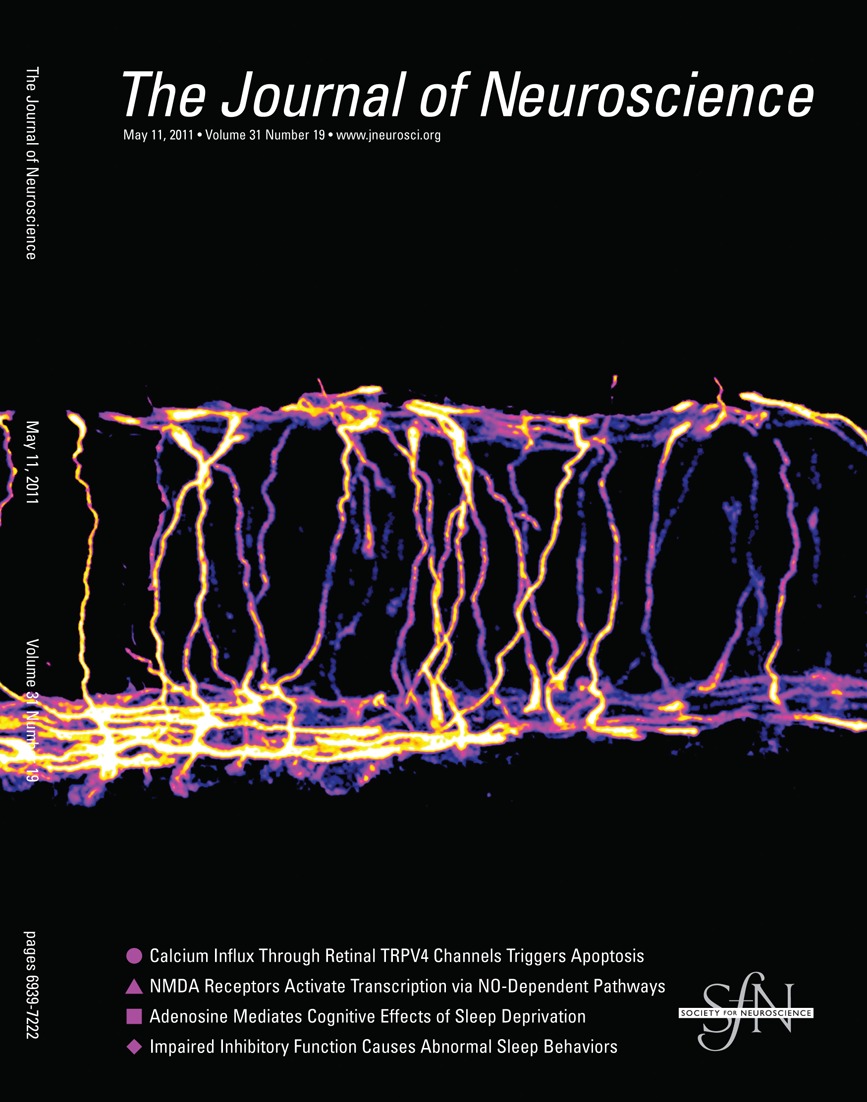 www.jneurosci.org