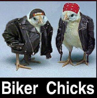chicks.jpg
