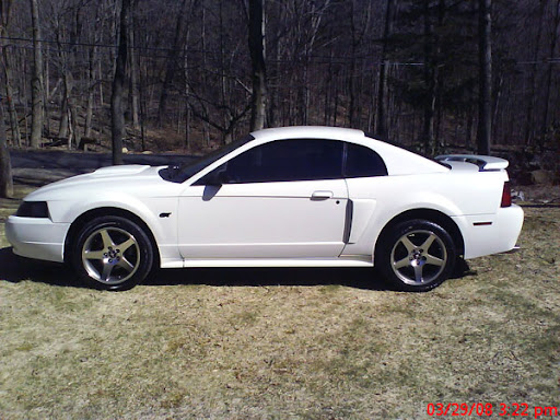 stang3.jpg