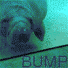 5Yial.gif