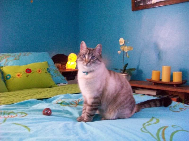 100_0892.jpg