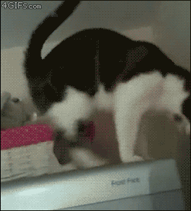 G8kFXXB.gif