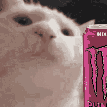 HIBbiuU.gif