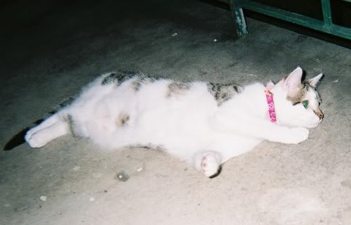 sushi2005.jpg