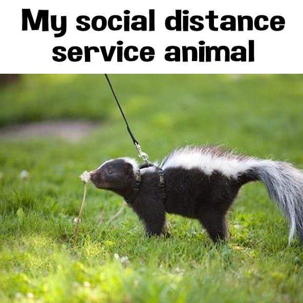 EdvLE2o.jpg