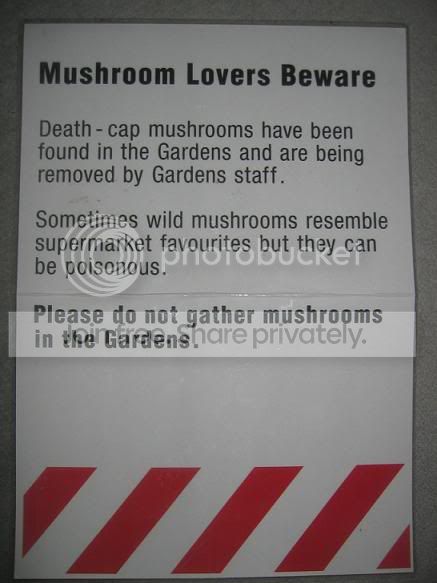 MushroomPoster.jpg