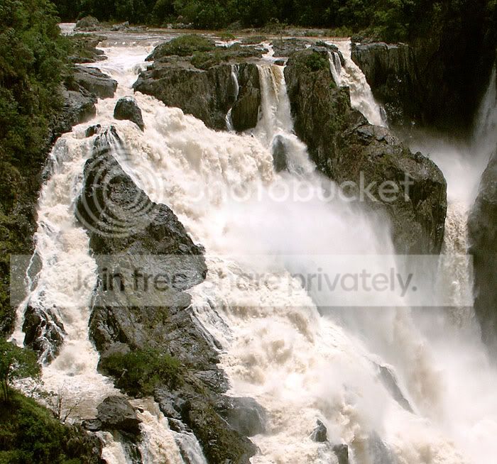 PICT0896cs.jpg