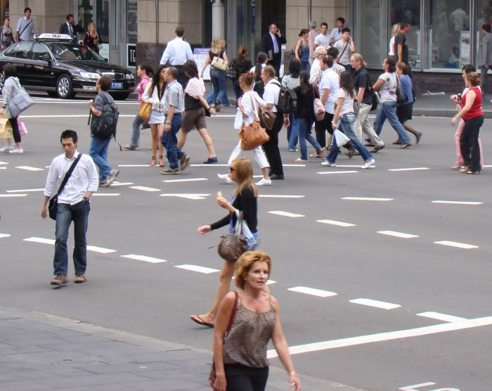 paparazzistyletheme.jpg