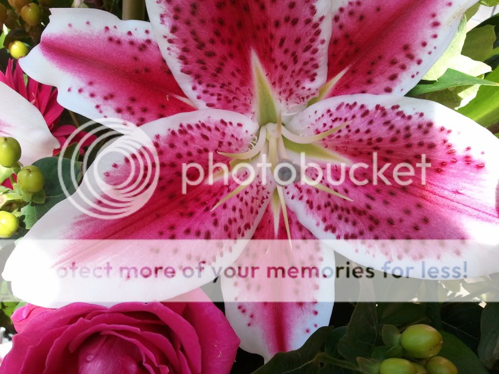 2011-08-22102431.jpg