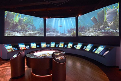 field_museum.jpg