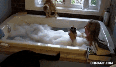 0ba.gif