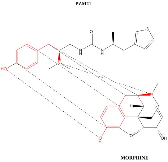 PZM21.jpg
