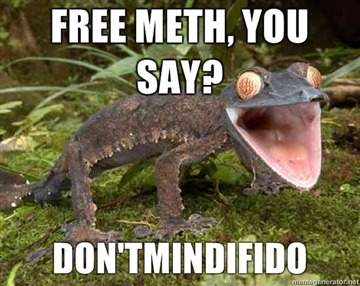 tumblr_lgy86gJi1A1qzw1g3o1_400.jpg