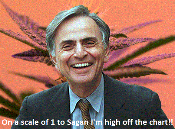 ipvU9NU.png